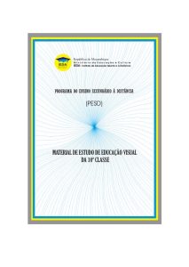 Modulo de Educação Visual 10ª Classe (PESD)