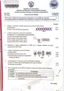 Exame de Biologia 10ª Classe (2022)