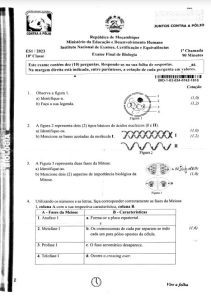 Exame de Biologia 10ª Classe (2023)