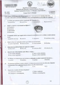 Exame de Biologia 12ª Classe (2022)