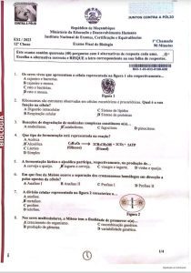 Exame de Biologia 12ª Classe (2023)
