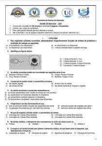 Exame de Admissão UP  – Biologia (2024)