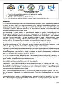 Exame de Admissão UP – História (2024)