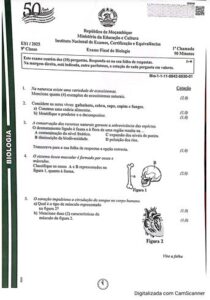 Exame de Biologia 9ª Classe (2025)